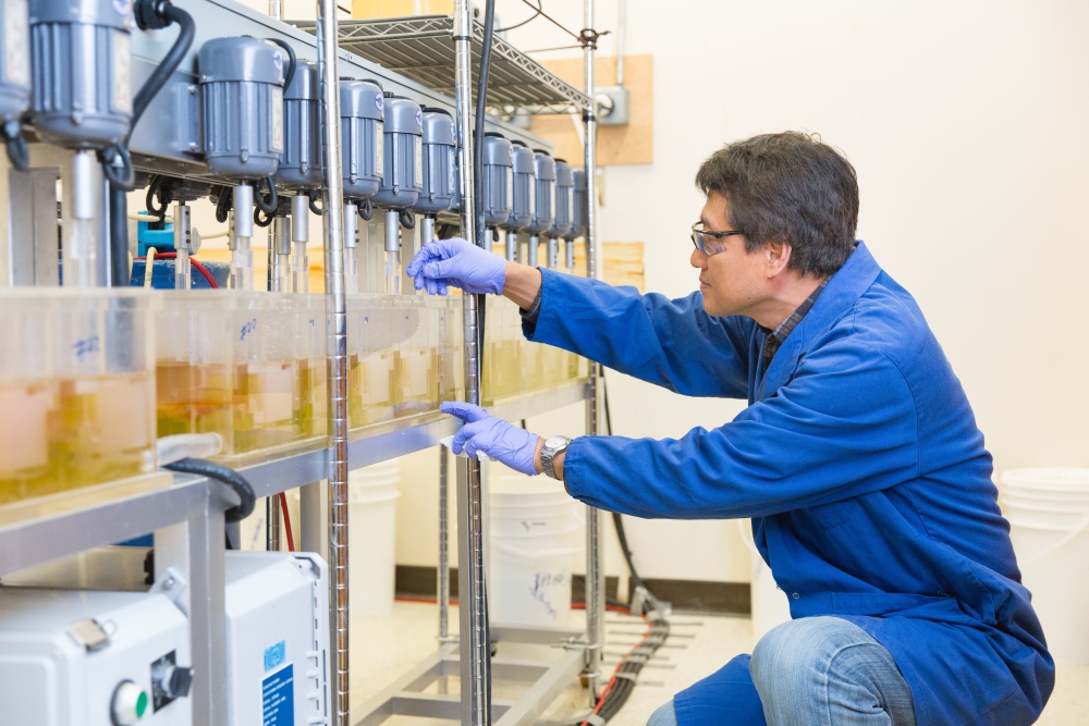 SRC Joins Rare Earth Industry Association Saskatchewan Research Council